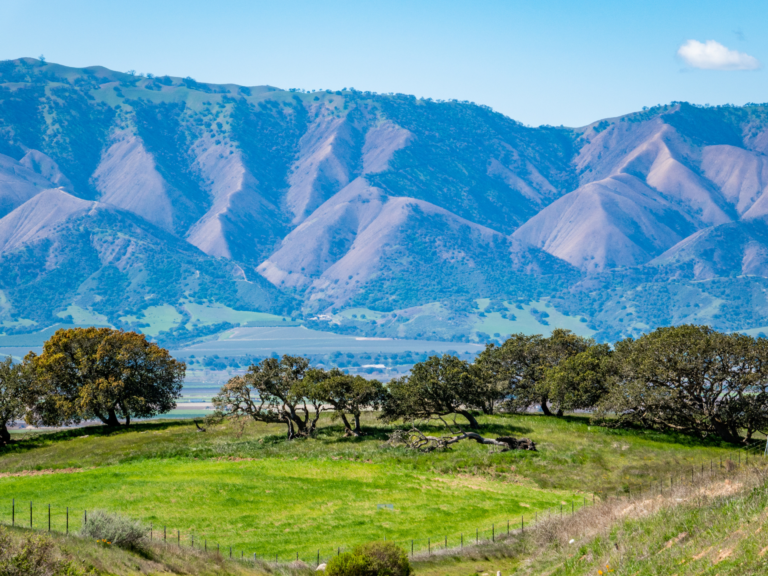 Optometry Practice for Sale in Prundedale, CA