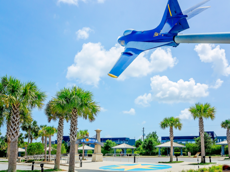 Florida Optometry Practice for Sale