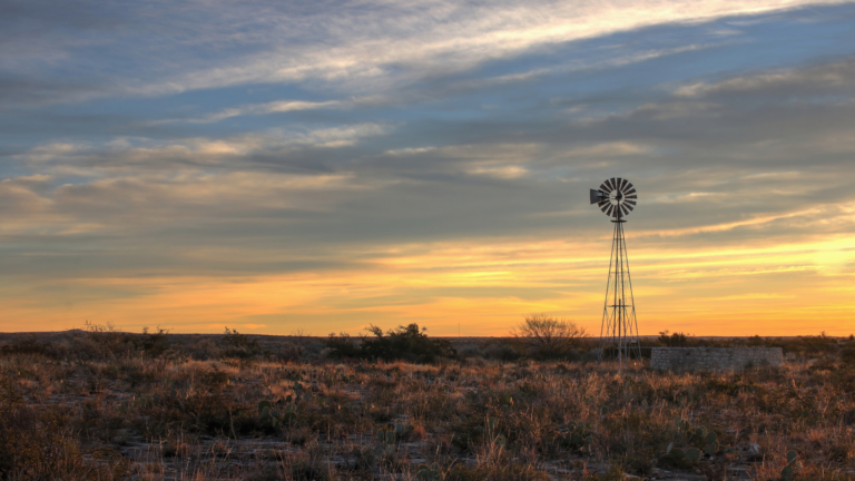 Texas Optometry Practice for Sale  